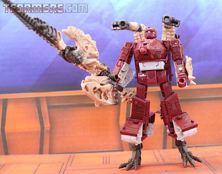 Transformers Kingdom Paleotrex Wave 1 Deluxe  (22 of 43)